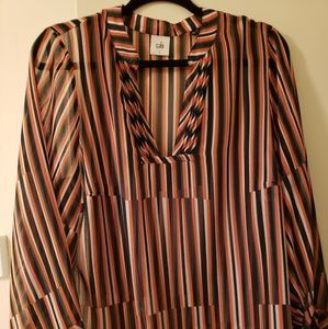 Gorgeous Cabi Ultimate blouse!